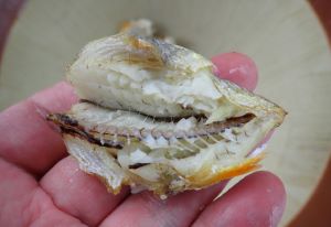 中骨を取る