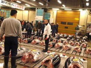 クリックで拡大表示 マグロの種類