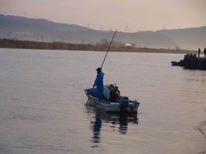 松江市で見られるシジミ漁