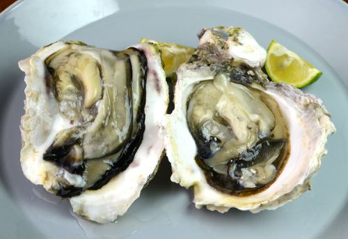 クリックで拡大表示 イワガキ刺身