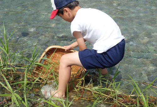 そろで魚をとる