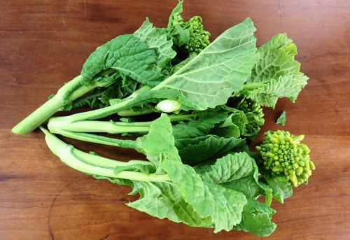 クリックで拡大表示 菜花