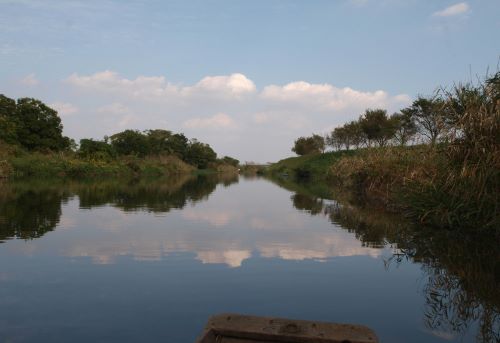 板倉町の水郷