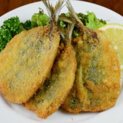 なぜか、アジフライ三昧の日々 コラム 市場魚貝類図鑑