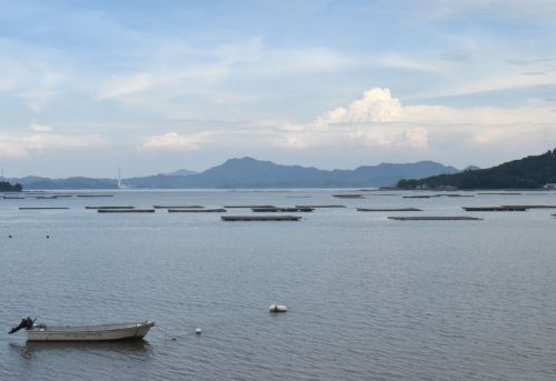 広島湾、養殖筏