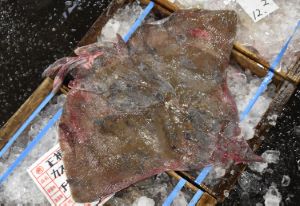 クリックで拡大表示 青森魚市場、かすべ