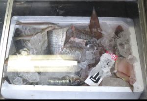 高梁市,魚屋