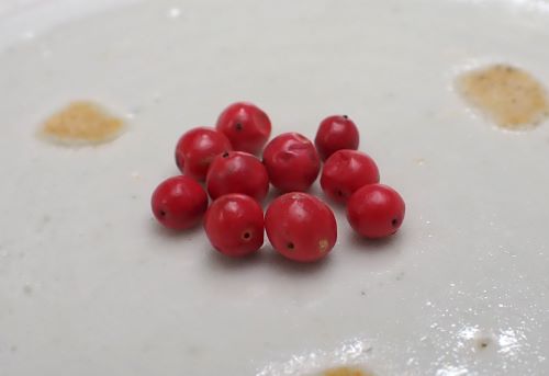 クリックで拡大表示