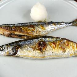 さんまの塩焼き 6/1取り置き さんまの塩焼き様 専用 6/1取り置き
