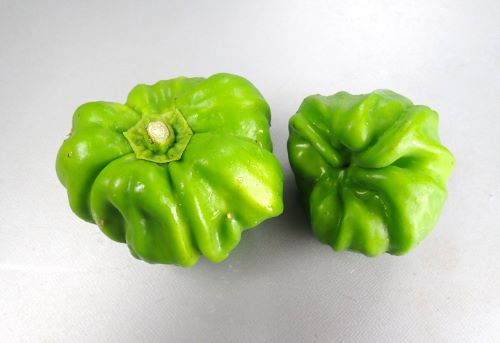 クリックで拡大表示