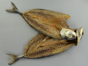 クリックで拡大表示 今も残る刺鯖