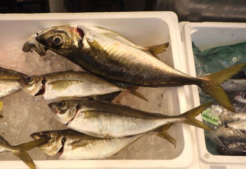 クリックで拡大表示