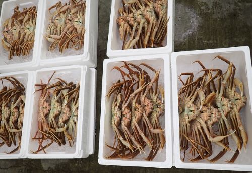 クリックで拡大表示