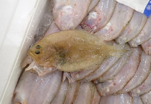 クリックで拡大表示
