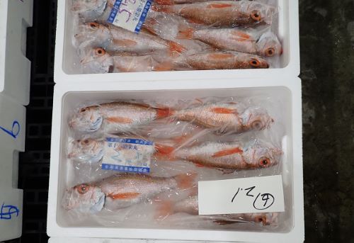クリックで拡大表示