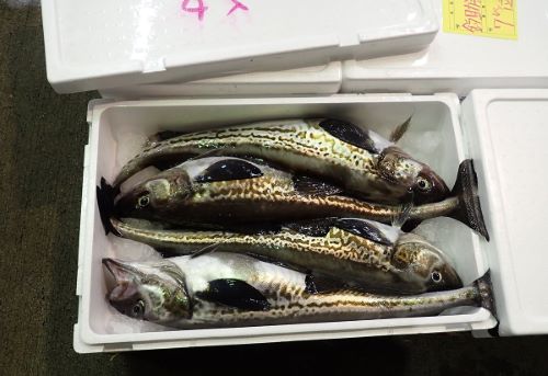 クリックで拡大表示