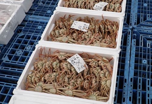 クリックで拡大表示