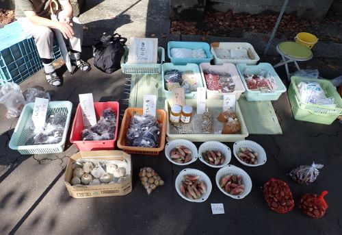 クリックで拡大表示