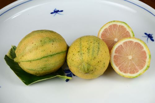 クリックで拡大表示