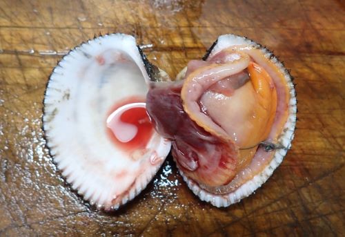 クリックで拡大表示