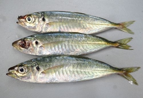 クリックで拡大表示