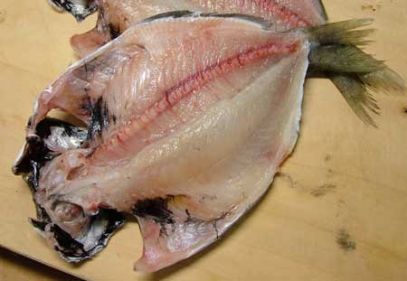 イボダイ 市場魚貝類図鑑