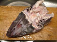 酢くめ 煮こごり アブラツノザメ 市場魚貝類図鑑 酢くめ 煮こごり アブラツノザメ 市場魚貝類図鑑